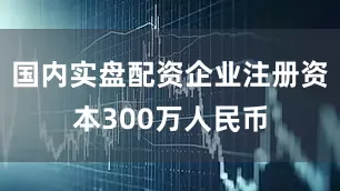 国内实盘配资企业注册资本300万人民币